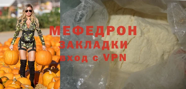 индика Абаза