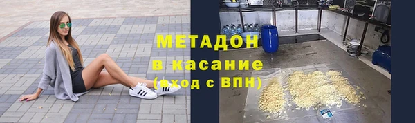 индика Абаза