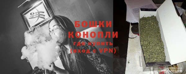 индика Абаза
