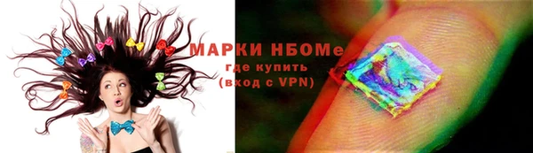 индика Абаза