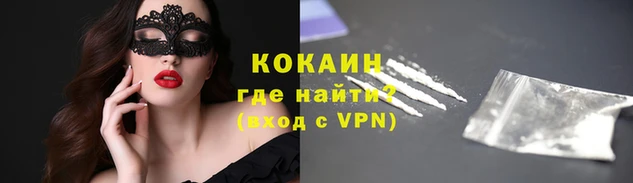индика Абаза