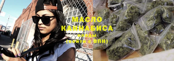 индика Абаза