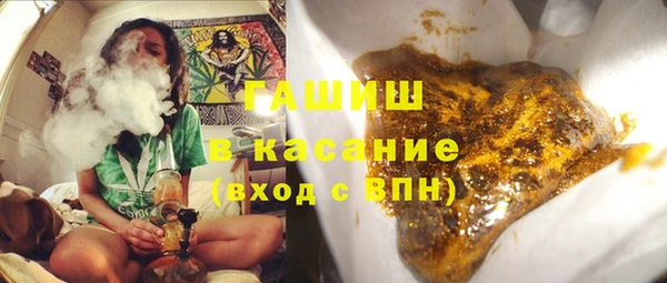 индика Абаза