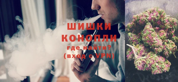 индика Абаза