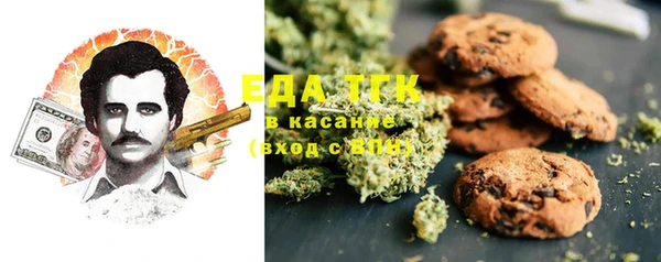 индика Абаза