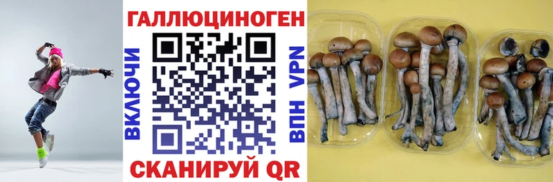 сайты даркнета наркотические препараты  Хилок  Псилоцибиновые грибы MAGIC MUSHROOMS  где найти  